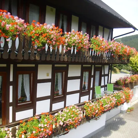 Modern In Sauerland With Balcony * Schmallenberg