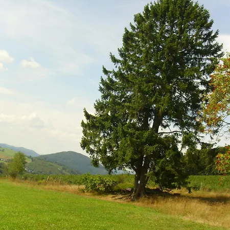 Modern In Sauerland With Balcony Schmallenberg