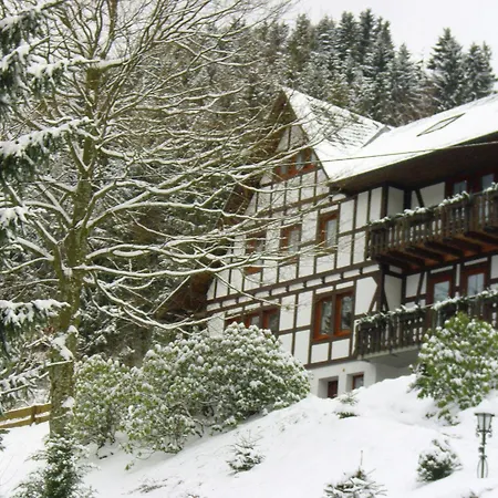 Apartamento Modern In Sauerland With Balcony *