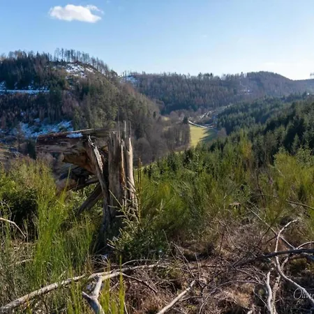 Modern In Sauerland With Balcony Apartamento *